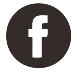 fb icon2